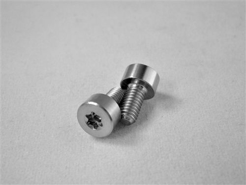 M3-0.5 x 6mm Torx Parallel Socket Head Screw