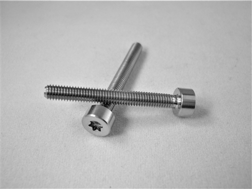 M3-0.5 x 25mm Torx Parallel Socket Head Screw