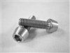 M5-0.8 x 17.5mm Tapered Socket Head Screw