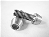 M6-1 x 17.5mm Tapered Socket Head Screw