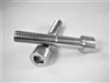 5/16"-24 x 1-3/4" Parallel Socket Head Screw