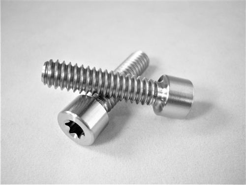 1/4"-20 x 1"  Torx Parallel Socket Head Screw