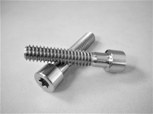 1/4"-20 x 1-1/4"  Torx Parallel Socket Head Screw
