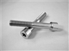 5/16"-18 x 2" Torx Parallel Socket Head Screw