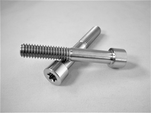 5/16"-18 x 2" Torx Parallel Socket Head Screw