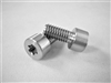 M6-1 x 12.5mm Torx Parallel Socket Head Screw