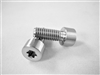 M6-1 x 15mm Torx Parallel Socket Head Screw