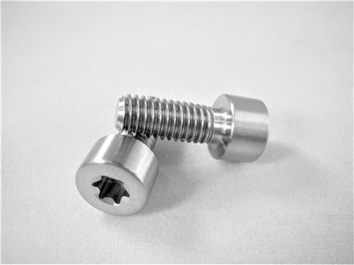 M6-1 x 15mm Torx Parallel Socket Head Screw