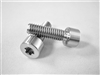 M6-1 x 20mm Torx Parallel Socket Head Screw