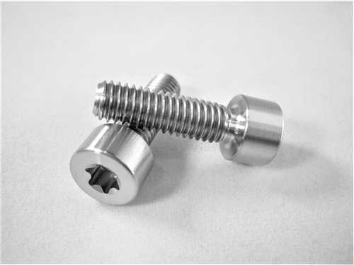 M6-1 x 20mm Torx Parallel Socket Head Screw