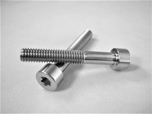 M6-1 x 40mm Torx Parallel Socket Head Screw