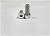 M8-1.25 x 20mm Torx Parallel Socket Head Screw
