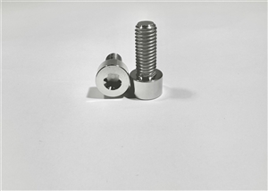 M8-1.25 x 20mm Torx Parallel Socket Head Screw