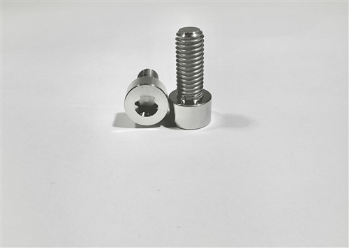 M8-1.25 x 20mm Torx Parallel Socket Head Screw
