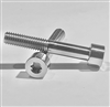 M8-1.25 x 50mm Torx Parallel Socket Head Screw