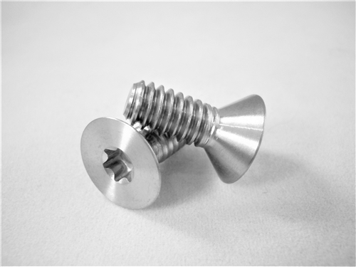 1/4"-20 x 5/8"  Torx Countersunk Screw