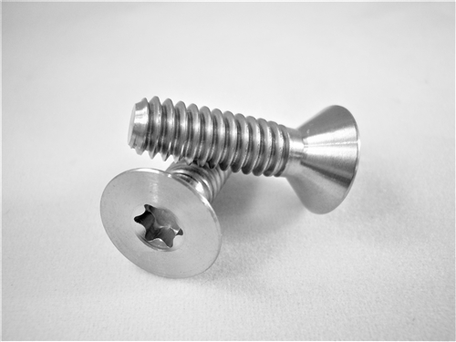 1/4"-20 x 7/8"  Torx Countersunk Screw