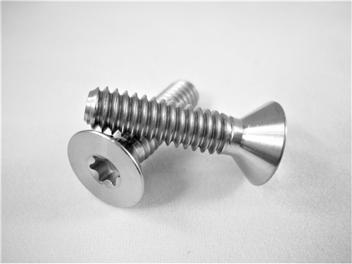 1/4"-20 x 1"  Torx Countersunk Screw