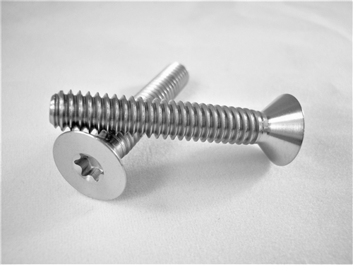 1/4"-20 x 1-1/2"  Torx Countersunk Screw