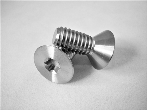 5/16"-18 x 3/4" Torx Countersunk Screw