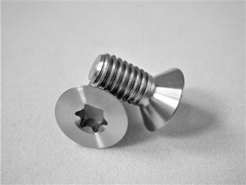M6-1 x 12.5mm Torx Countersunk Screw