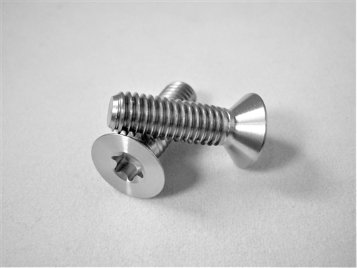 M6-1 x 20mm Torx Countersunk Screw