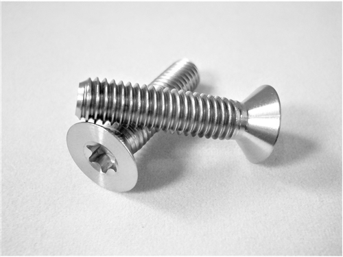 M6-1 x 25mm Torx Countersunk Screw