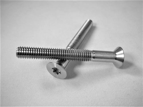 M6-1 x 50mm Torx Countersunk Screw