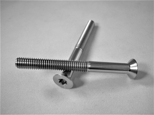 M6-1 x 60mm Torx Countersunk Screw